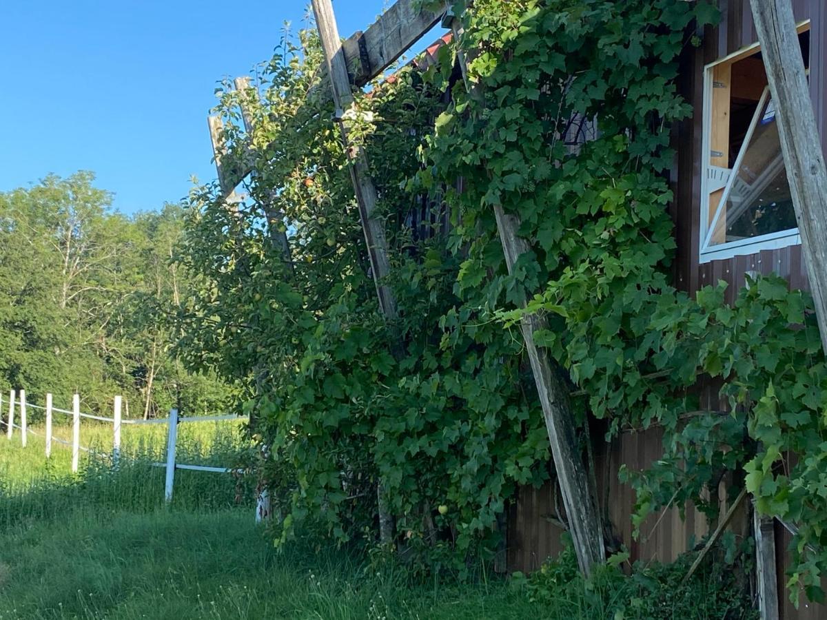 Apartmán Annahof Argenbuhl Exteriér fotografie