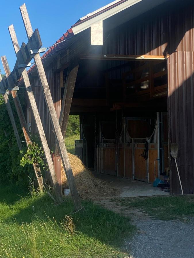 Apartmán Annahof Argenbuhl Exteriér fotografie